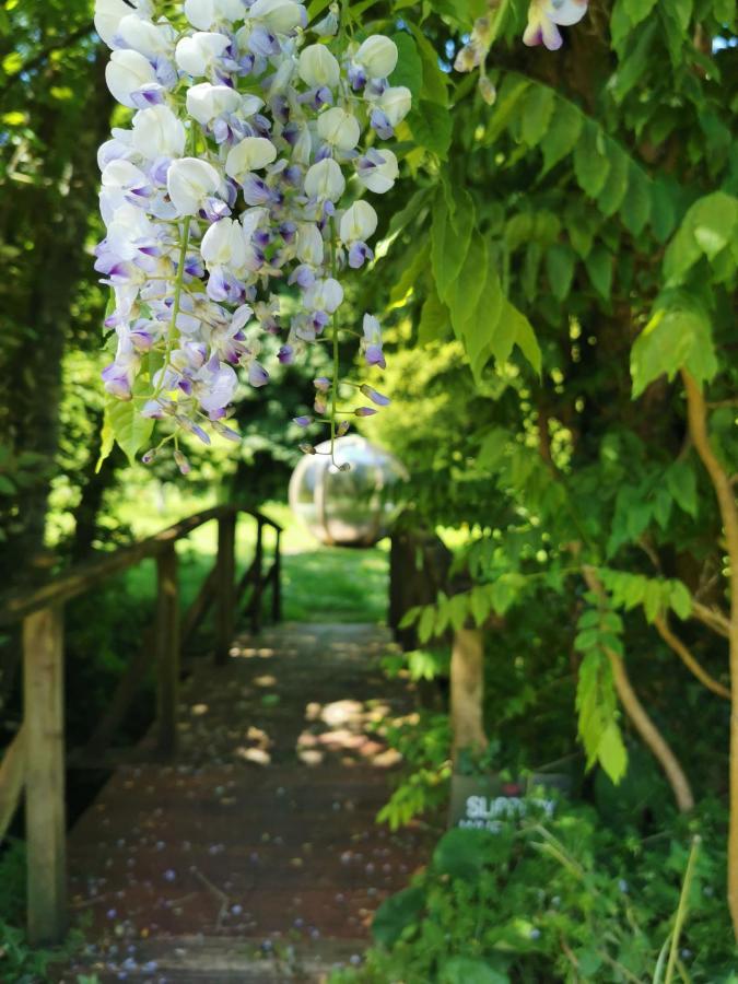 Rose In Vale Country House Hotel St Agnes (Cornwall) Exterior foto