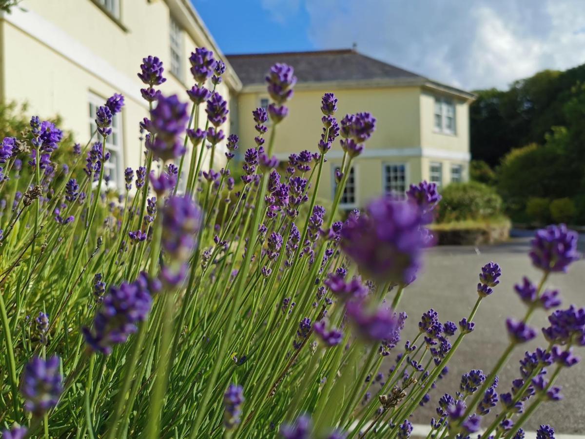 Rose In Vale Country House Hotel St Agnes (Cornwall) Exterior foto