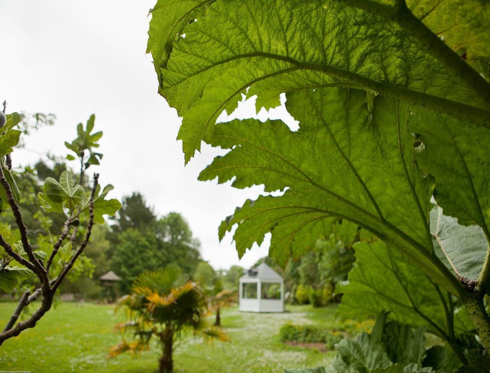 Rose In Vale Country House Hotel St Agnes (Cornwall) Exterior foto